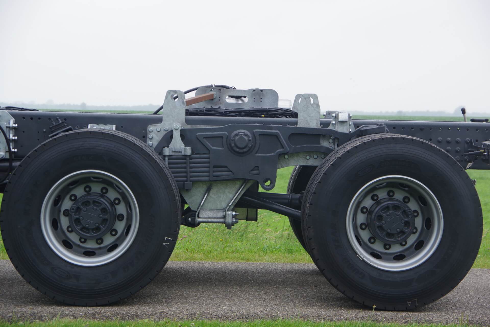 Blad geveerd Wide Spread asstel